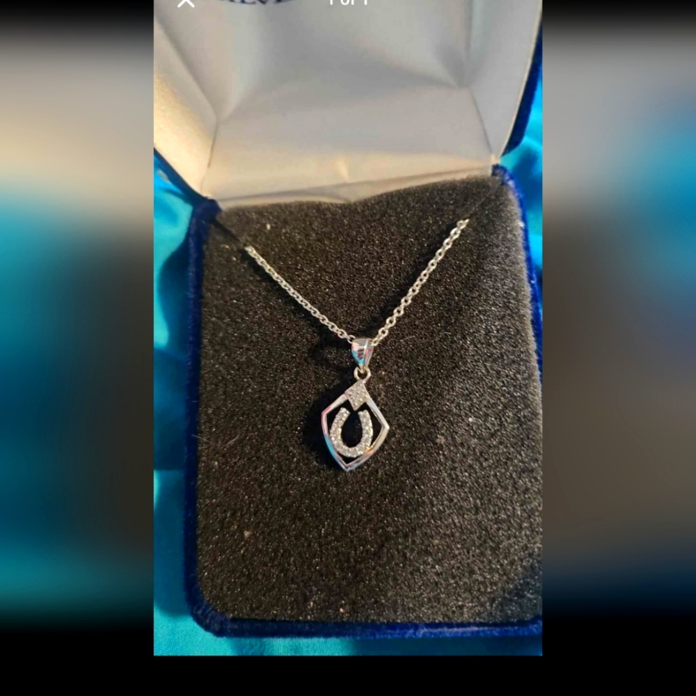 Silver horseshoe necklace
